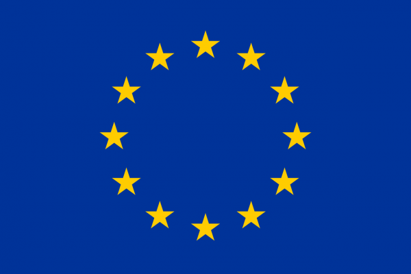 Kuuleminen EU:n sosiaalisten oikeuksien toimintasuunnitelmasta