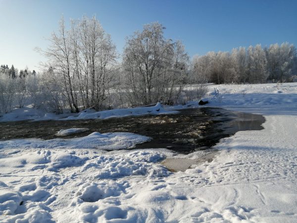 Pienikin liike piristää – Vinkkejä korona-ajan liikuntaan